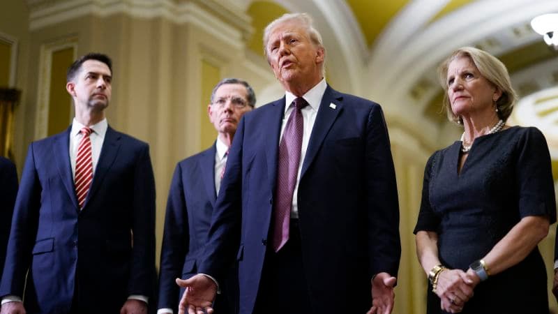 Fact Check: Only two Republicans opposed Trump's domestic agenda bill in the Senate.