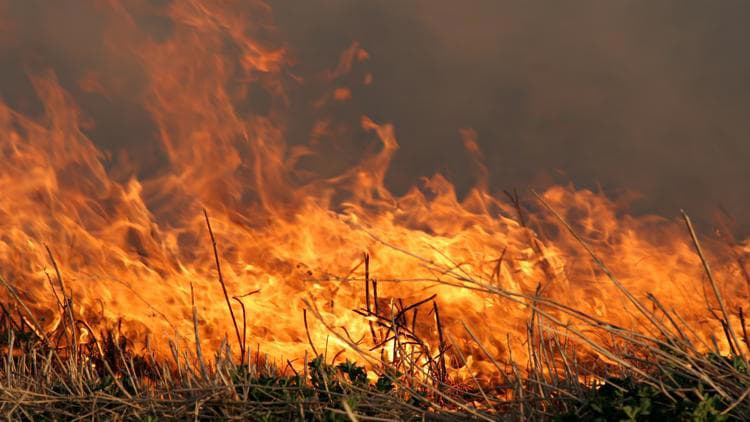 Fact Check: Highway 138 remains shut down due to raging fires.