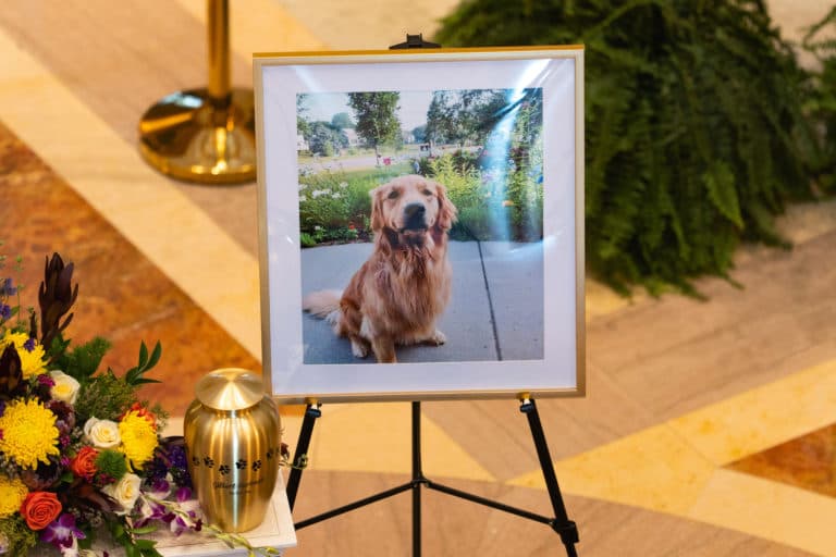 Fact Check: Gilbert the dog is the first nonhuman to lie in state in Minnesota.