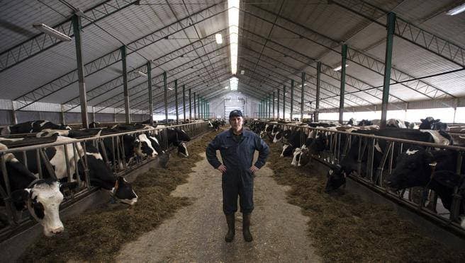 Fact Check: Canada dairy tariffs are 270%