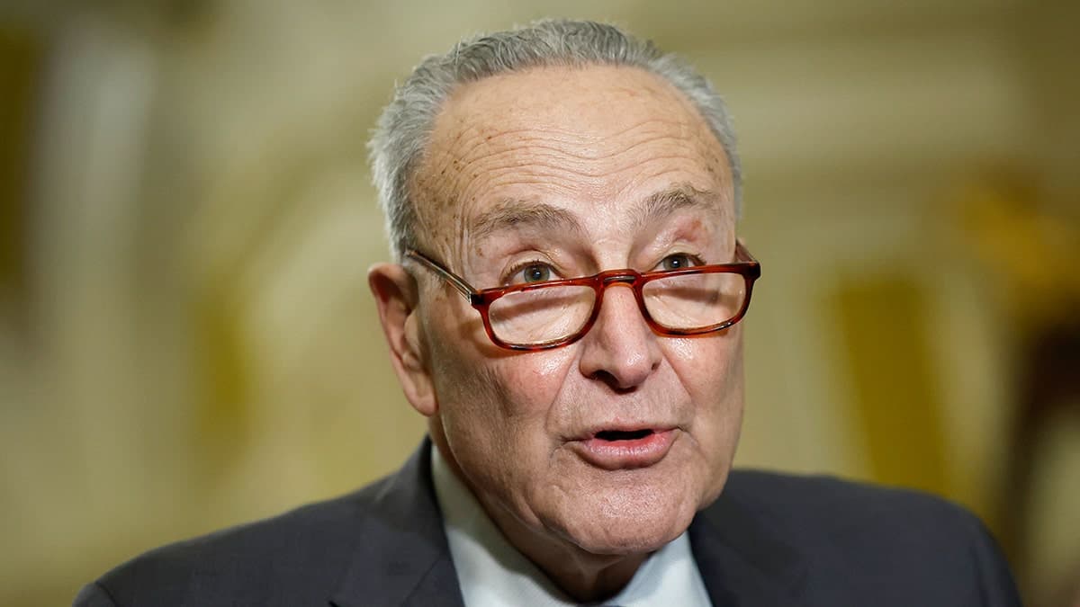 Fact Check: Schumer admitted his words about justices were inappropriate.