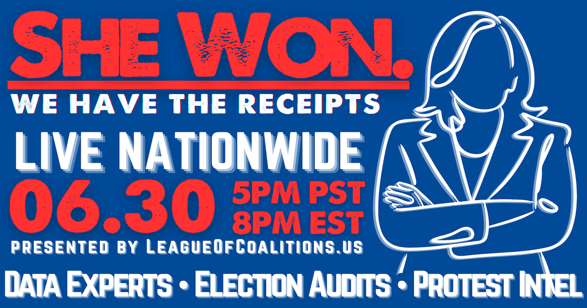Fact Check: SheWon campaign promises a deep dive into election audit strategies.