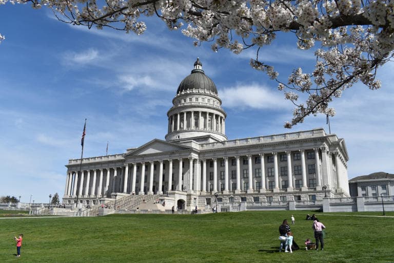 Fact Check: Planned Parenthood funding ban still under review by Senate parliamentarian.