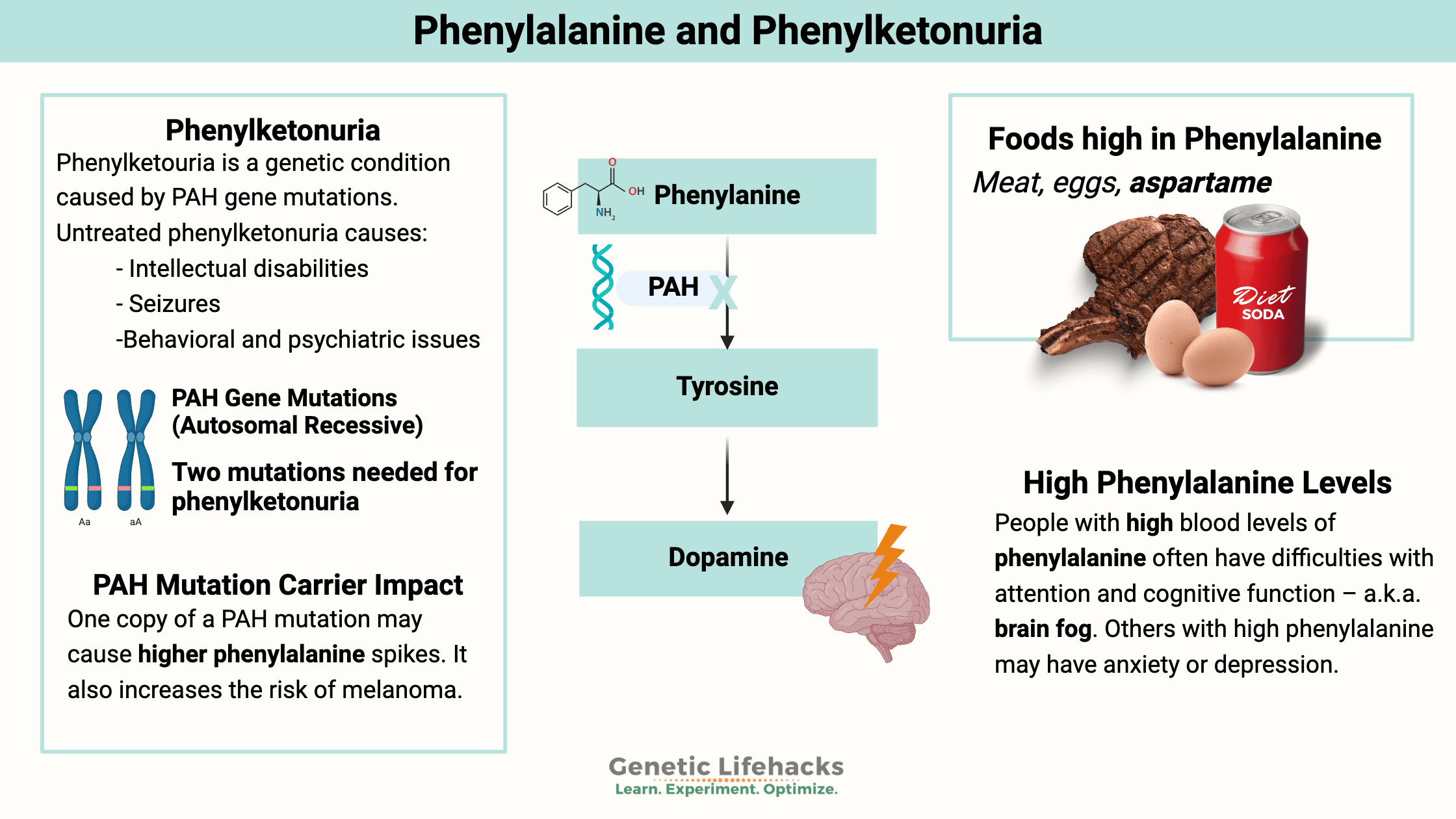 Fact Check: Is PKU a dominant or recessive trait?