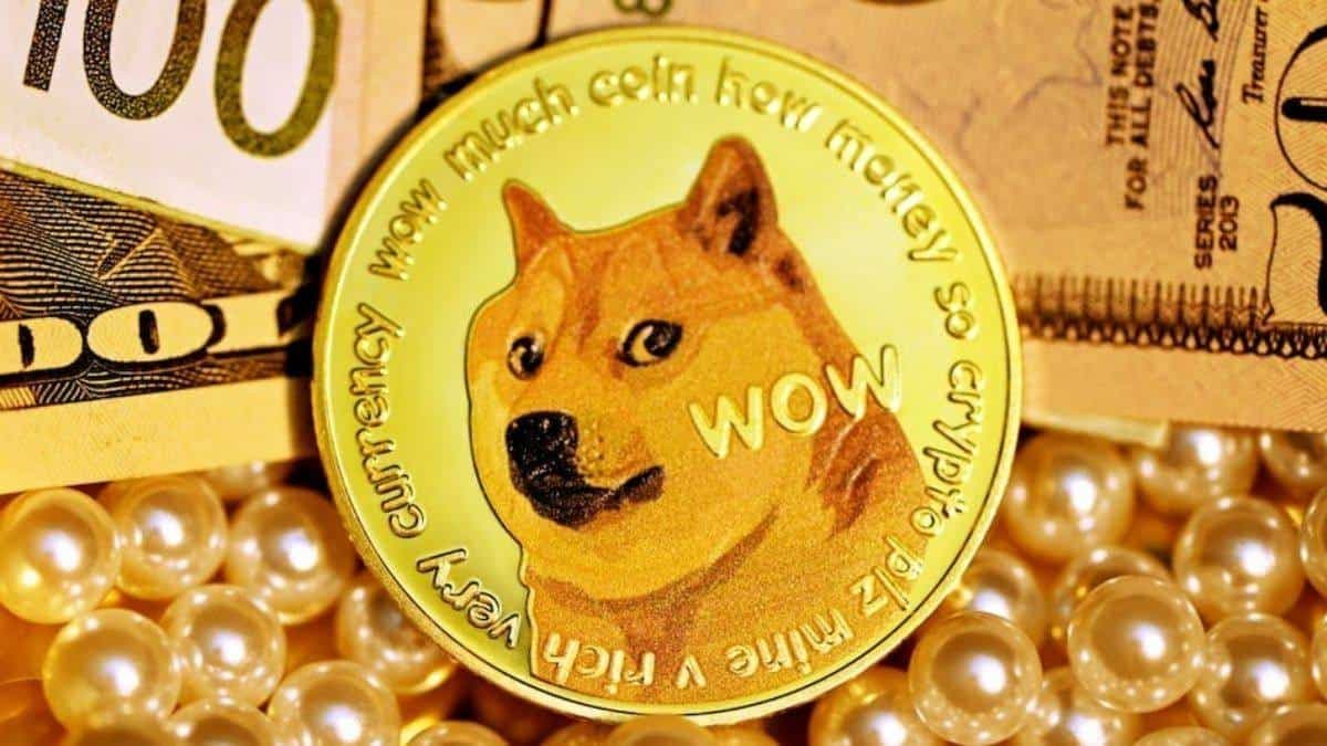 Fact Check: The person holding the highest position in doge has been publicly listed
