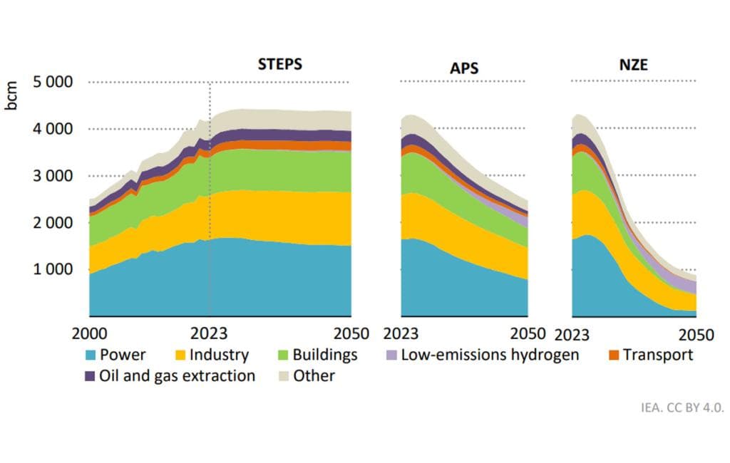 Fact Check: Natural gas demand is set to explode by 70-80% by 2050.