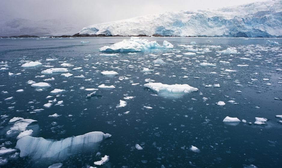 Fact Check: DoD's data cuts surprise scientists amid record-low Arctic sea ice levels!