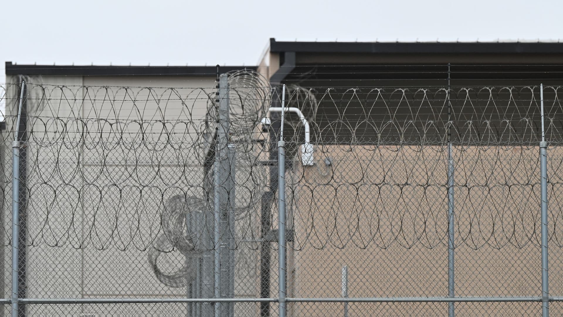Fact Check: ICE's detention population has skyrocketed by over 48% since January.