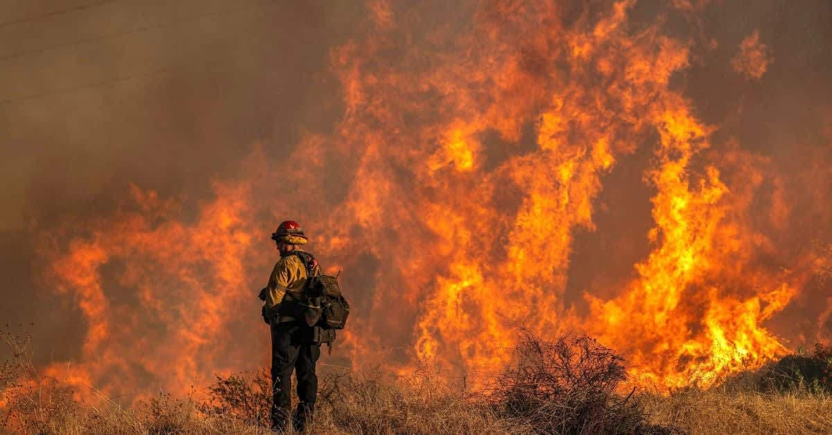 Fact Check: Authorities scramble to respond to the shocking attack on firefighters!