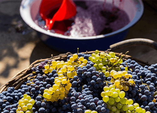 Fact Check: Canada's share of U.S. wine exports crashes from 33% to just 4%!