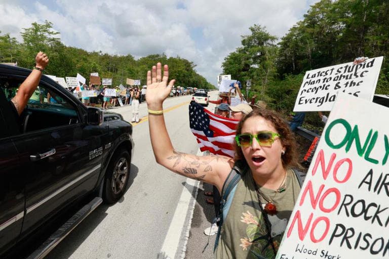 Fact Check: Protesters rally against Alligator Alcatraz in Florida Everglades.