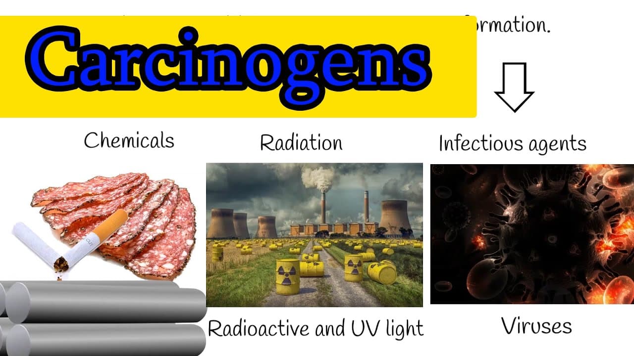 Fact Check: Carcinogenic pollutants in Chemical Valley threaten future generations.