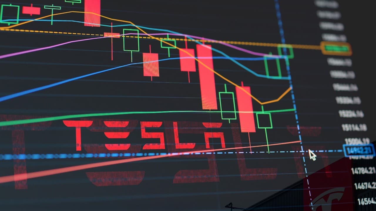 Fact Check: Tesla's sales down 37.1% year-to-date, a shocking drop!