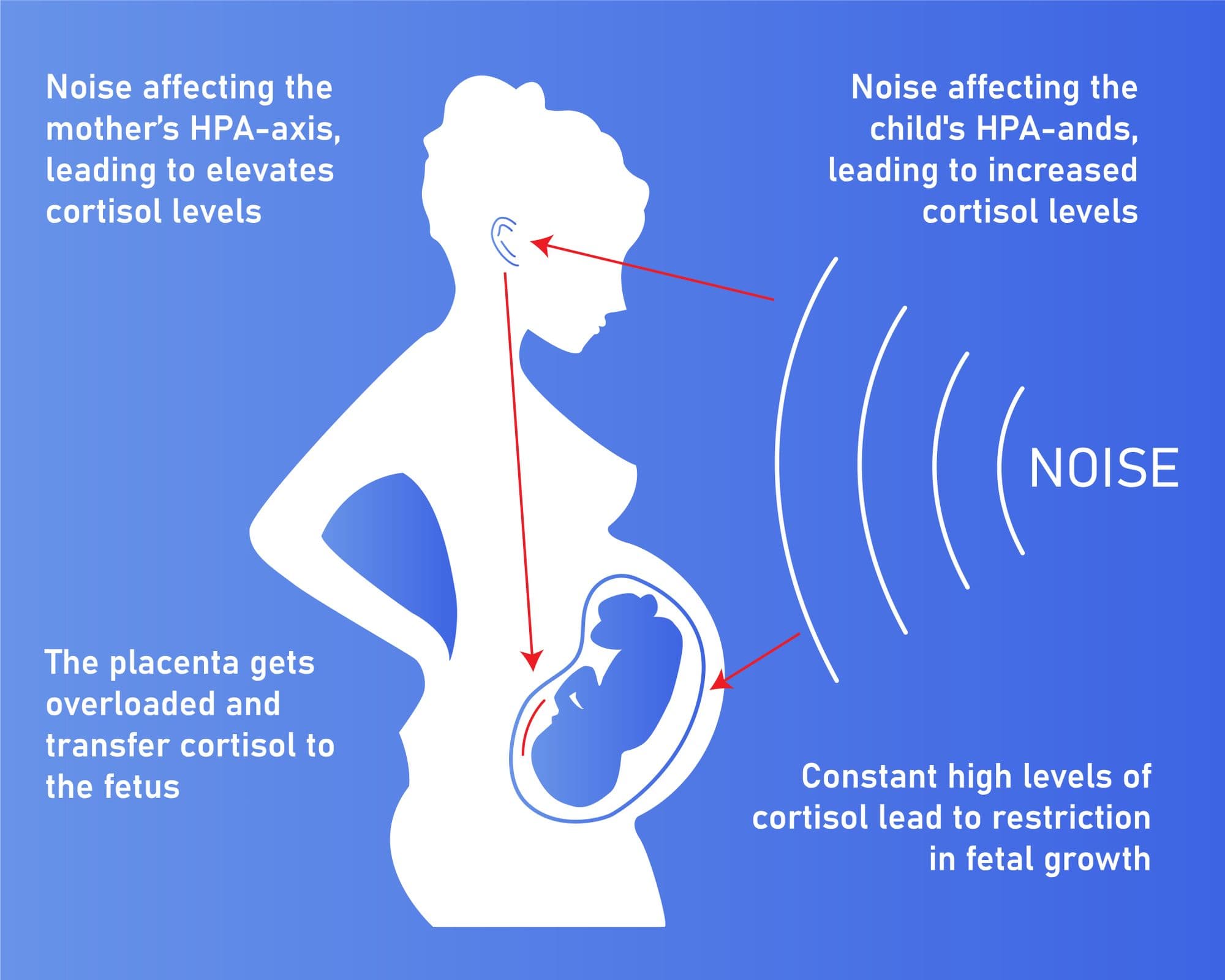 Fact Check: A mothers ‘shhh’ shushing noise replicates the sound inside the mothers womb, which is unique to the mother 