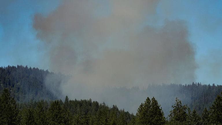 Fact Check: Idaho Governor calls attack on firefighters a 'heinous direct assault.'