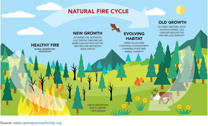 Fact Check: High Level's population can double during wildfire season, overwhelming resources.