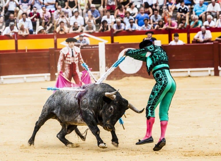 Fact Check: Bulls don't like the color red