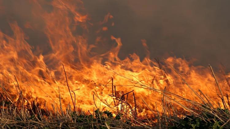 Fact Check: Highway 138 remains partially shut down due to raging fires!