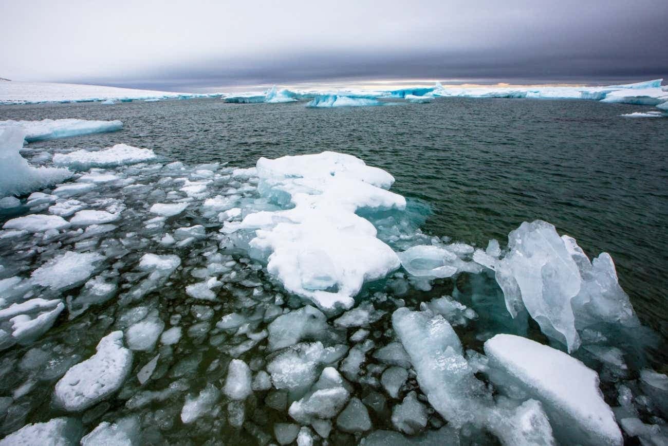 Fact Check: DoD's data cut surprises scientists amid record-low Arctic sea ice!