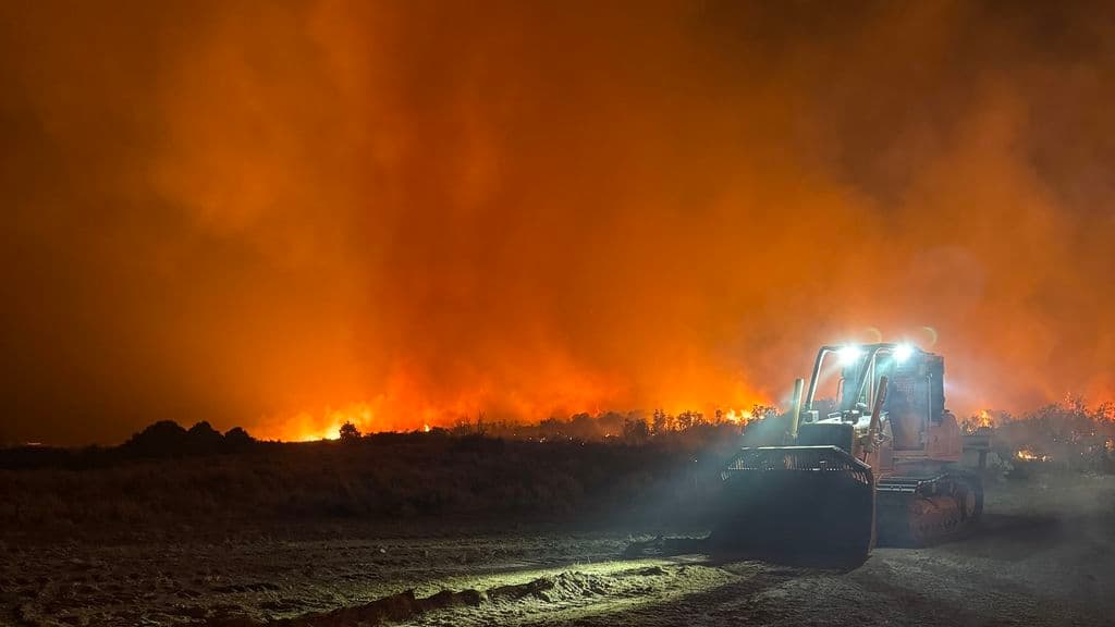 Fact Check: 275 of Utah's wildfires this year were caused by human activity.