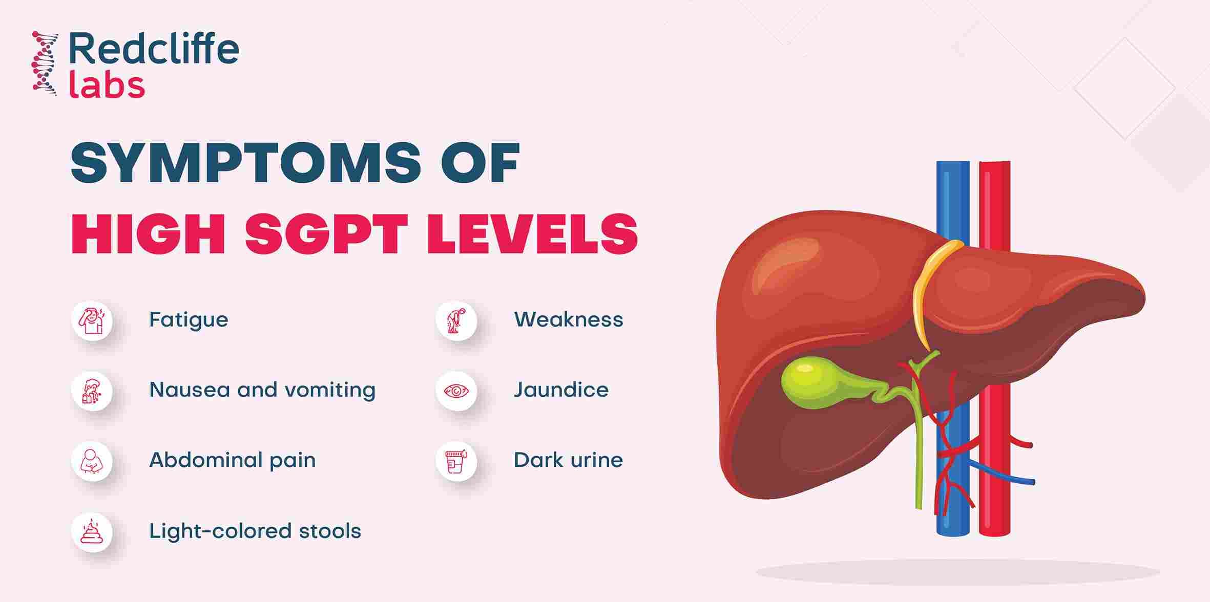 Fact Check: Is SGPT ALT?
