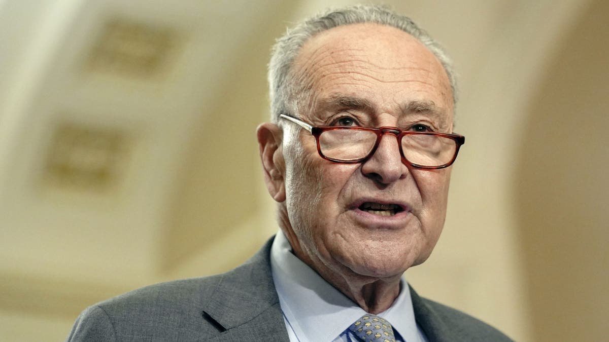 Fact Check: Schumer admitted his remarks about judges were inappropriate.