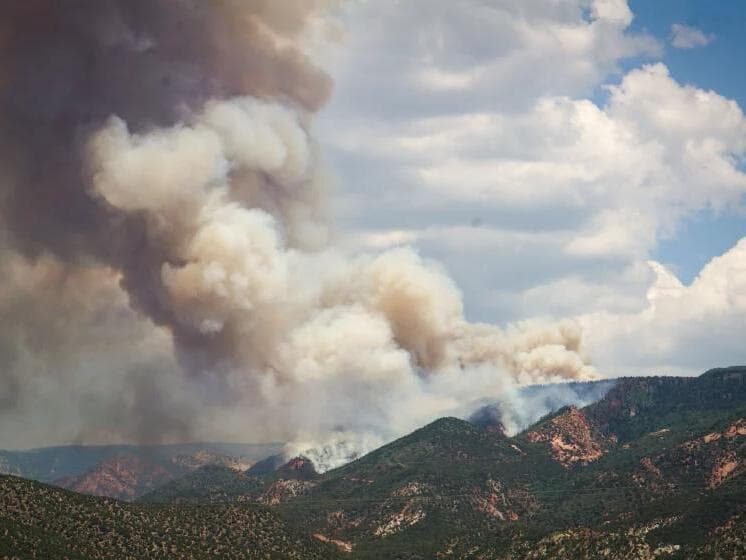 Fact Check: Human activity caused 275 of Utah's wildfires this season.