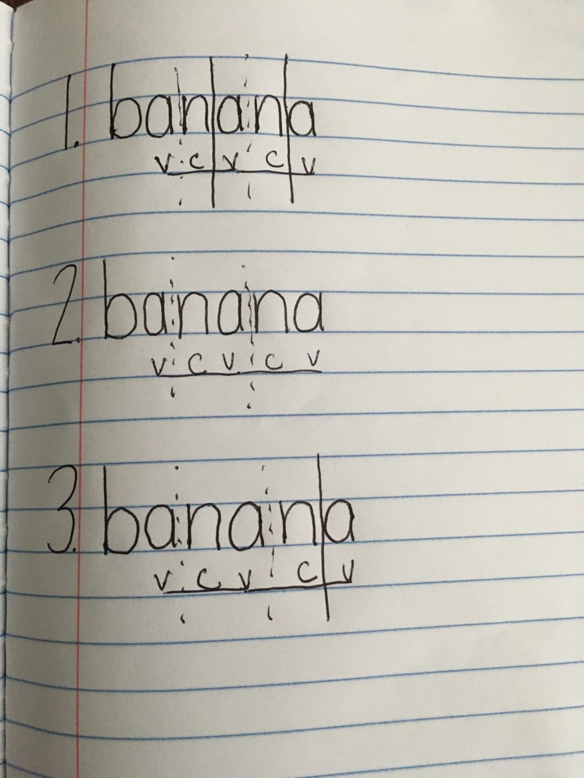Fact Check: there are two n in the word banana
