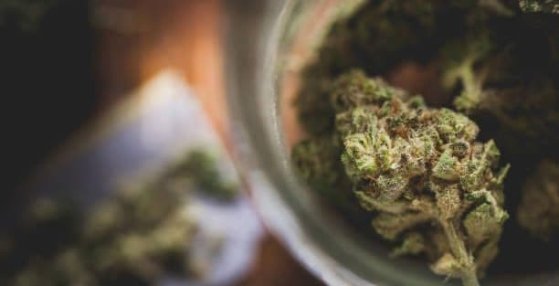 Fact Check: Legalizing marijuana saves money on law enforcement and reduces gang profits.