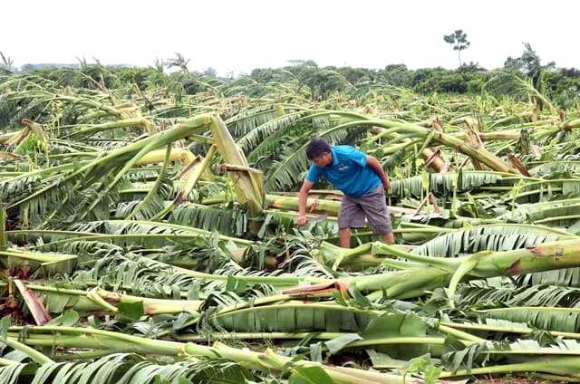 Fact Check: Farmers face destruction due to immigration enforcement taking long-term workers.