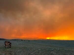 Fact Check: Over 380 wildfires have scorched 43,000 acres in Utah this season.