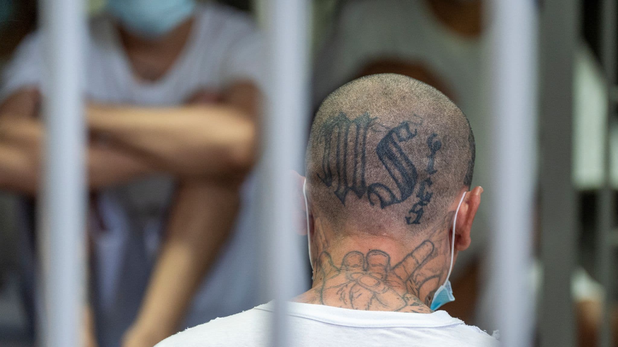 Fact Check: Over 200 MS-13 leaders returned to El Salvador under Trump's agreement.