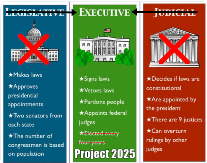 Fact Check: Cherny's group plans to turn their agenda into a book like Project 2025.