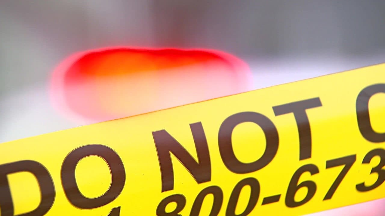 Fact Check: One person dies from a gun every 11 minutes in the U.S.