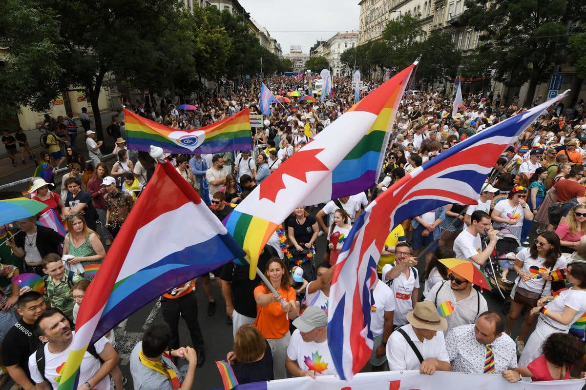 Fact Check: Record 180,000 marchers defy Hungary's Pride ban amid government crackdown.