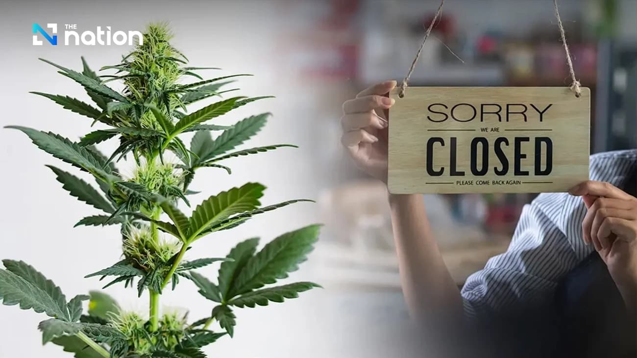 Fact Check: New regulations require cannabis shops to become clinics with medical professionals.