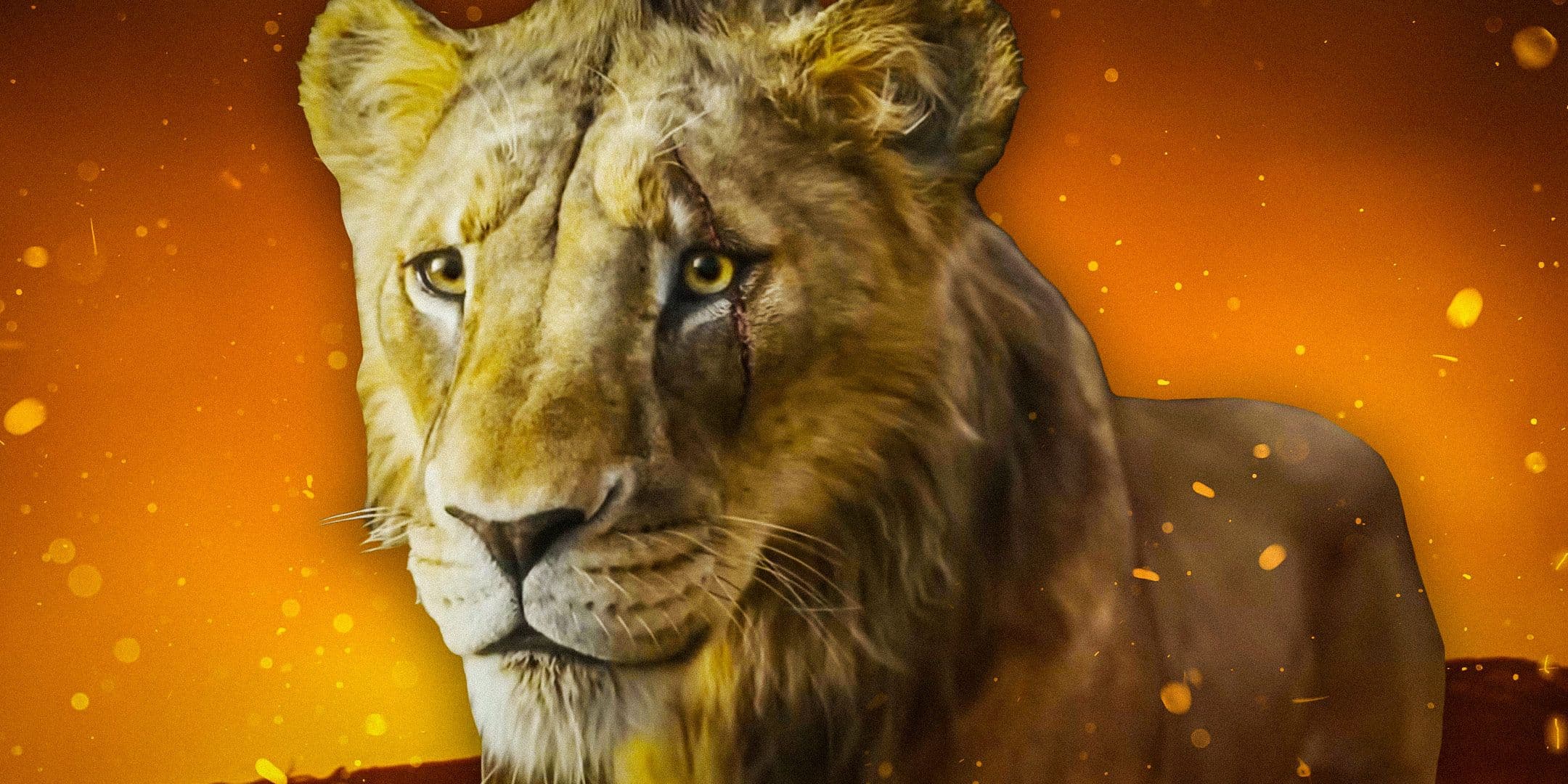Fact Check: Is Taka scar?