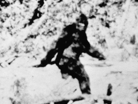 Fact Check: bigfoot is real