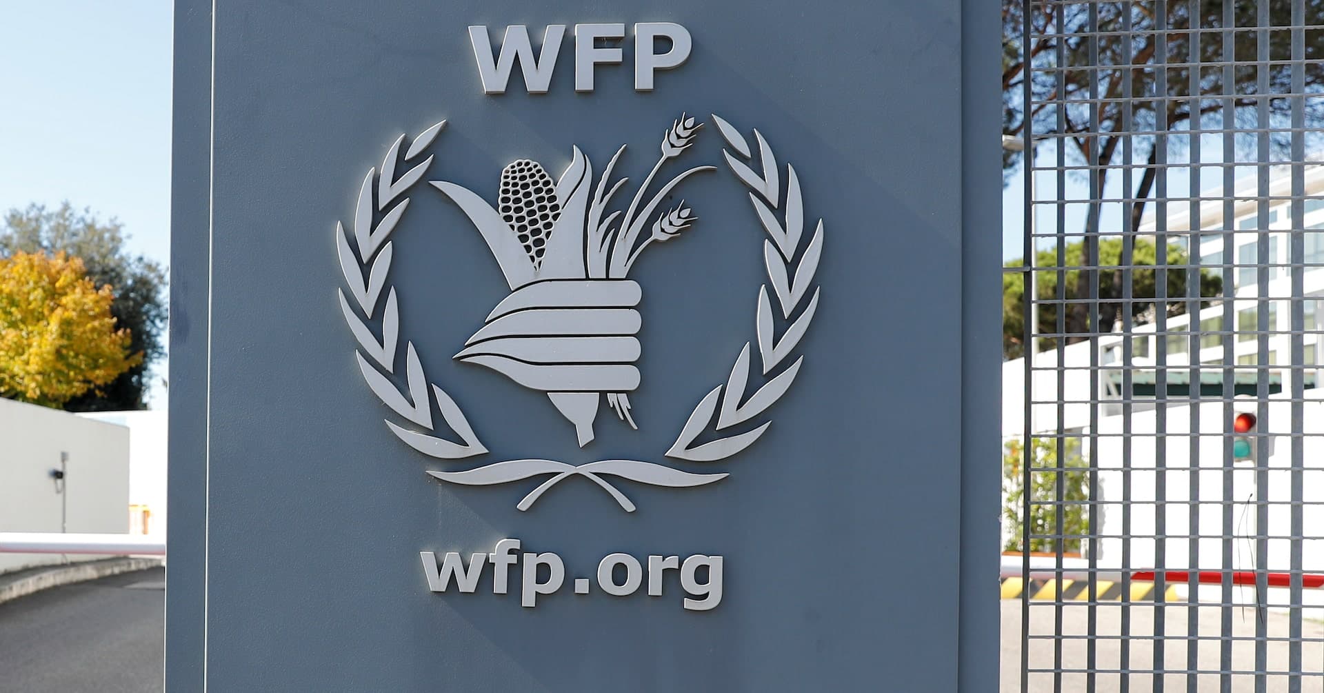 Fact Check: Is WFP legit?