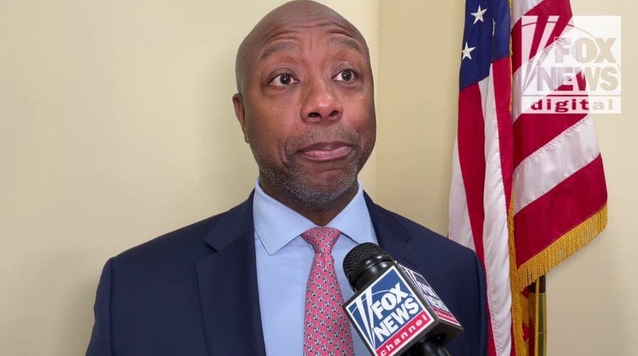 Fact Check: Senate Democrats plan to expose GOP's record during midterms!