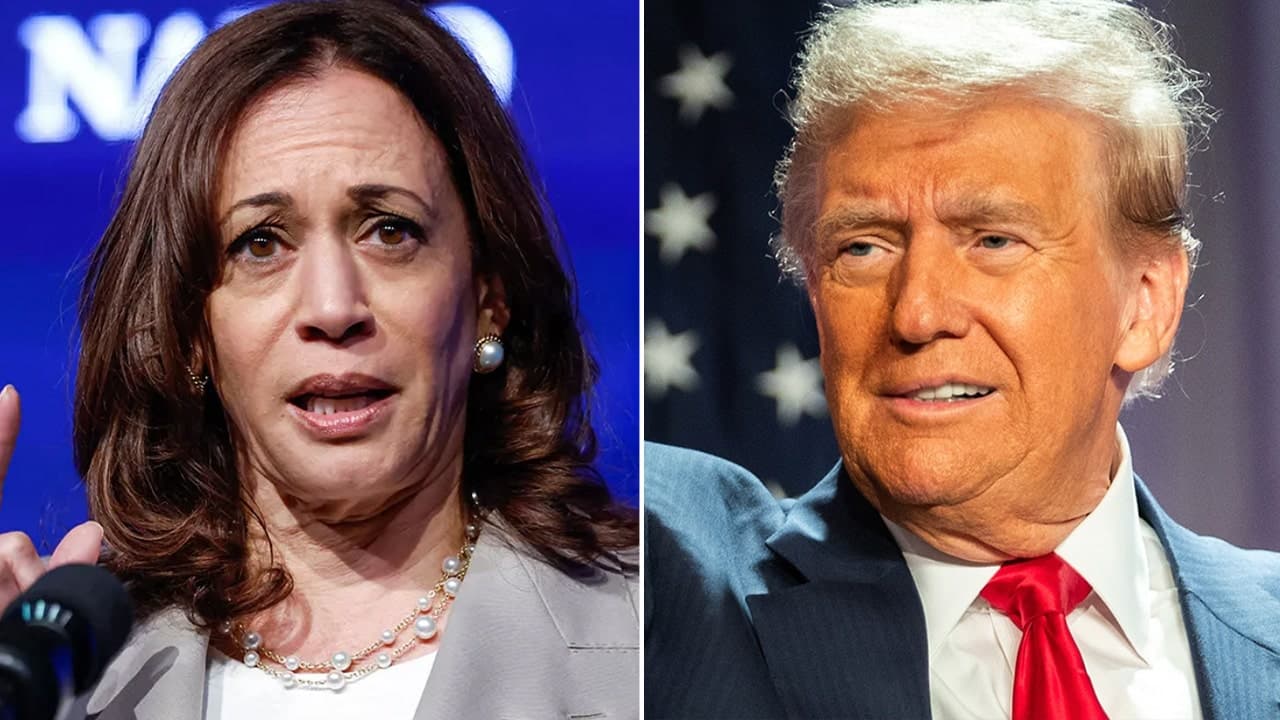 Fact Check: Democrats struggle to connect with working-class voters.