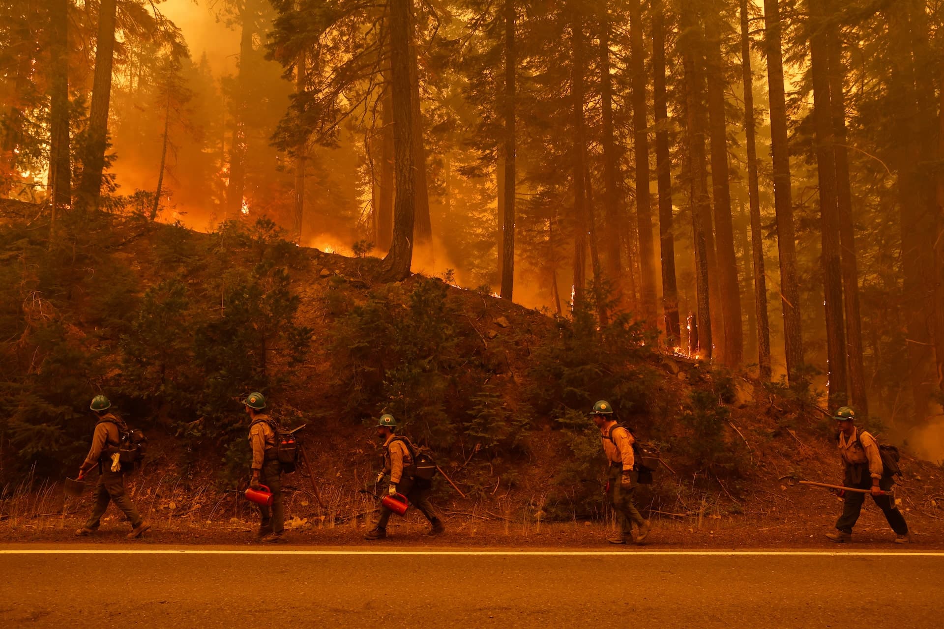 Fact Check: Firefighter shot while battling flames in active shooter zone.