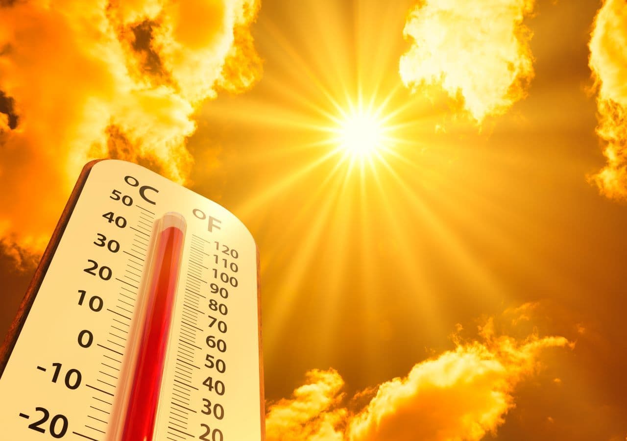 Fact Check: Air temperatures can exceed 40°C during heatwaves.