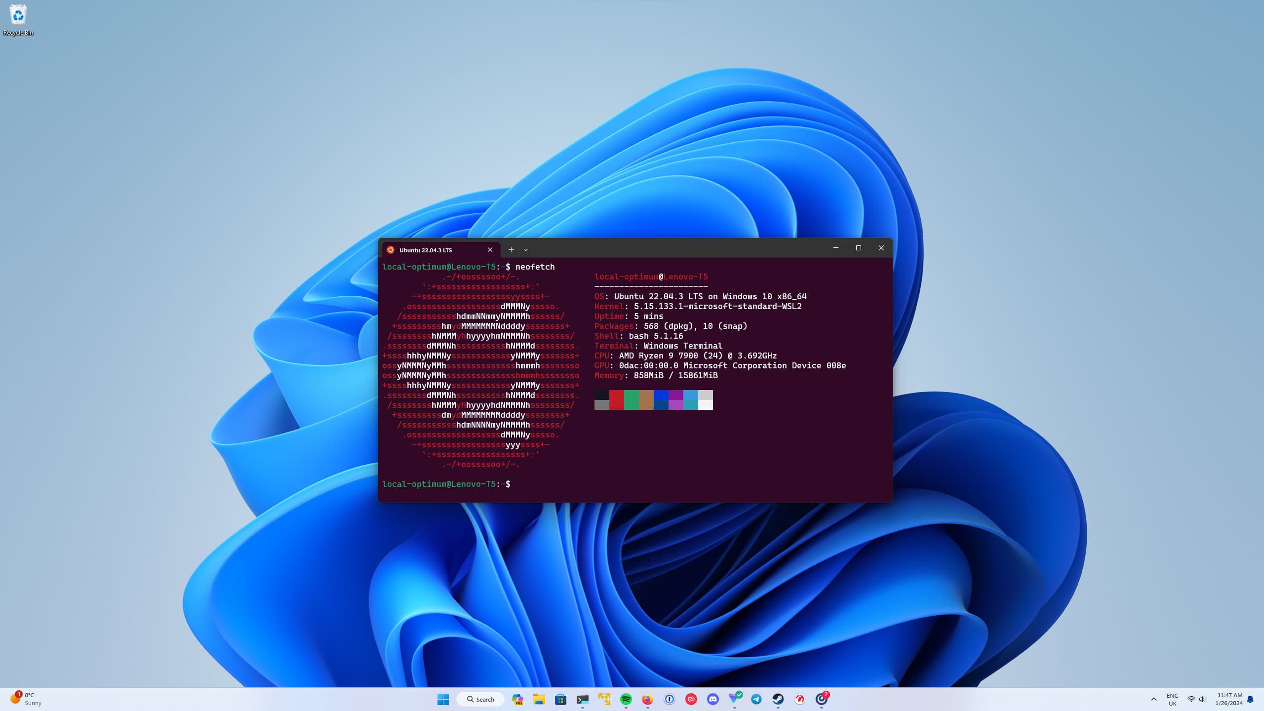Fact Check: Is WSL a VM?