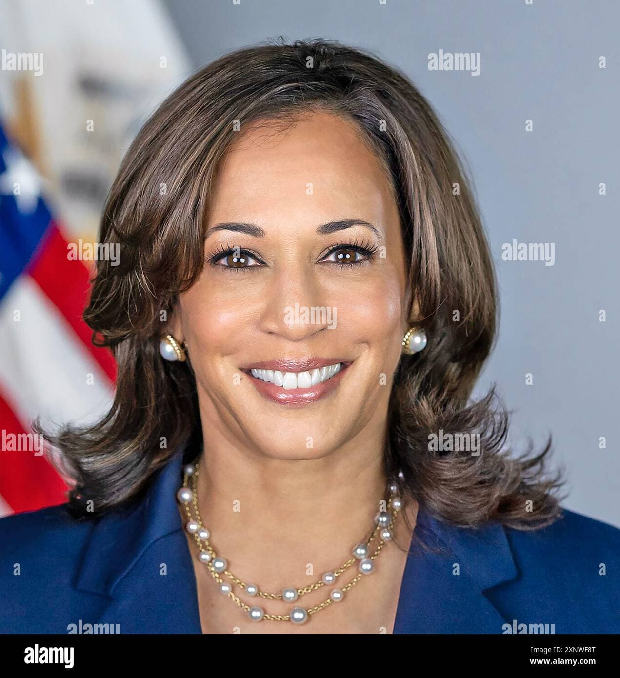 Fact Check: Kamala Harris served as Vice President of the United States.