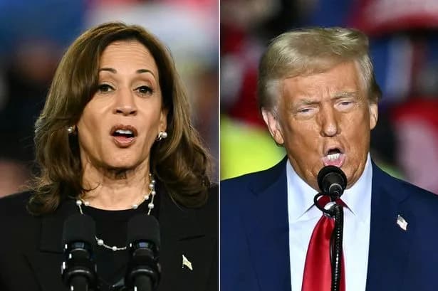 Fact Check: trump threatening to not honor us bonds