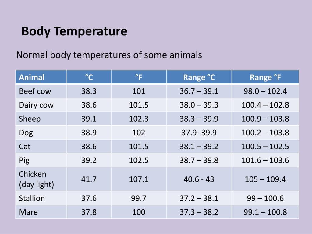 Fact Check: The average human body temperature is approximately 37°C (98.6°F).