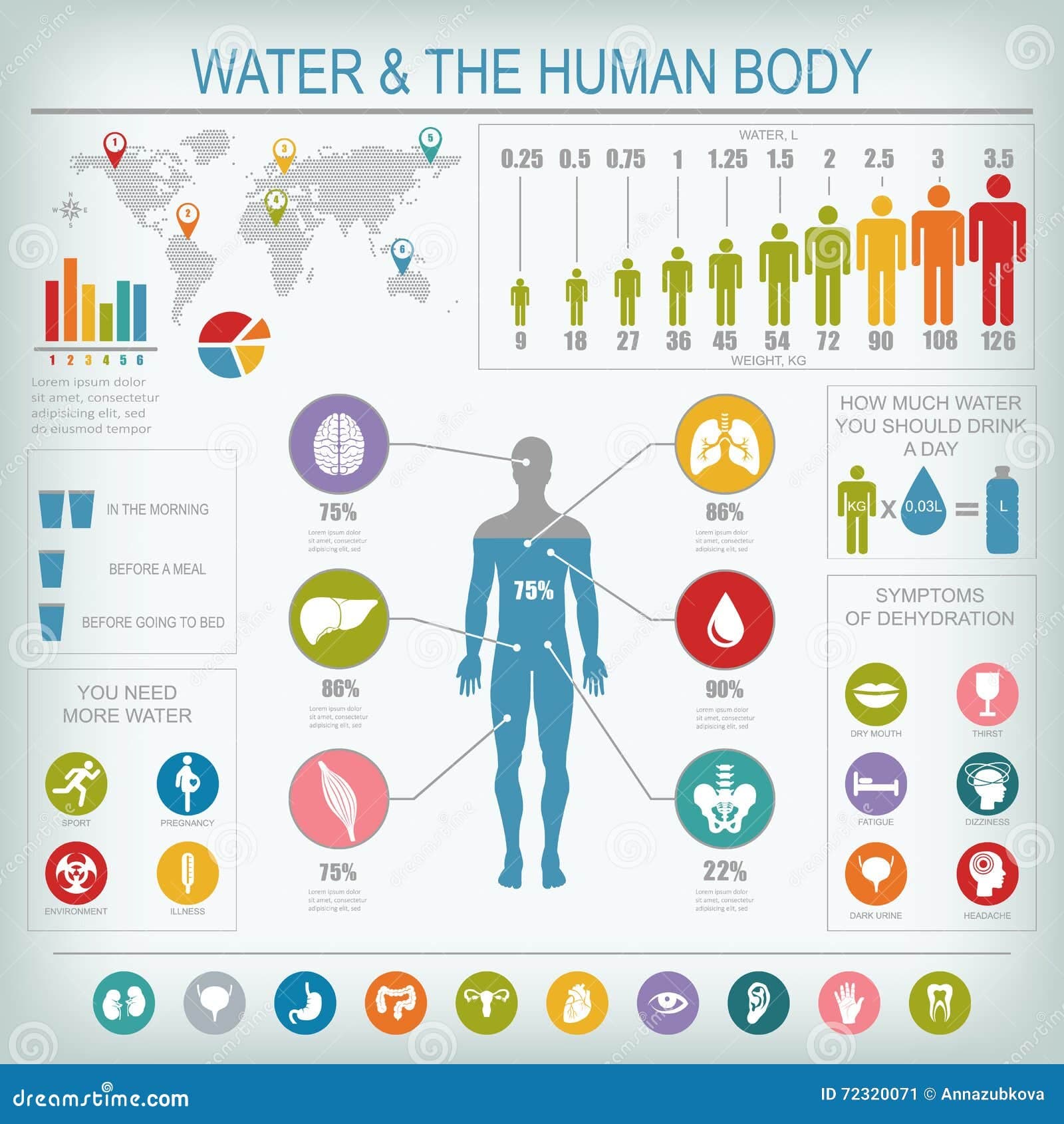 Fact Check: The human body is composed of about 60% water.