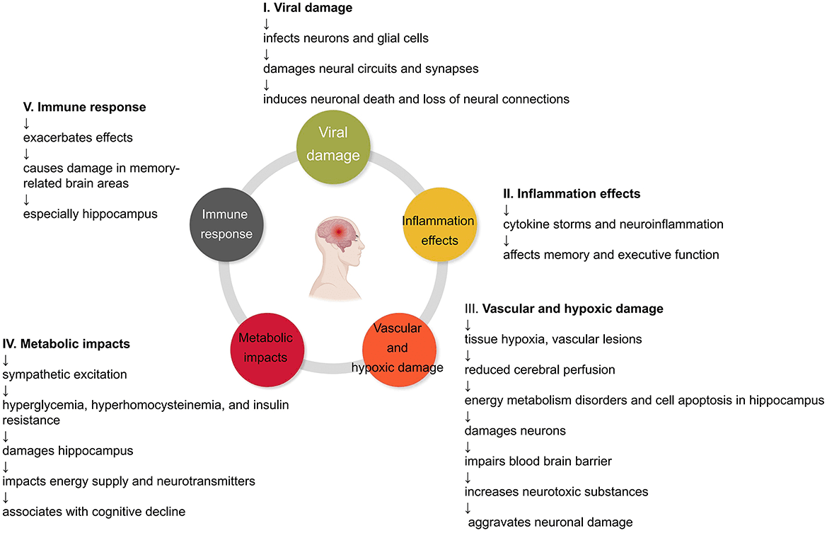 Fact Check: Cognitive decline can manifest through various symptoms.