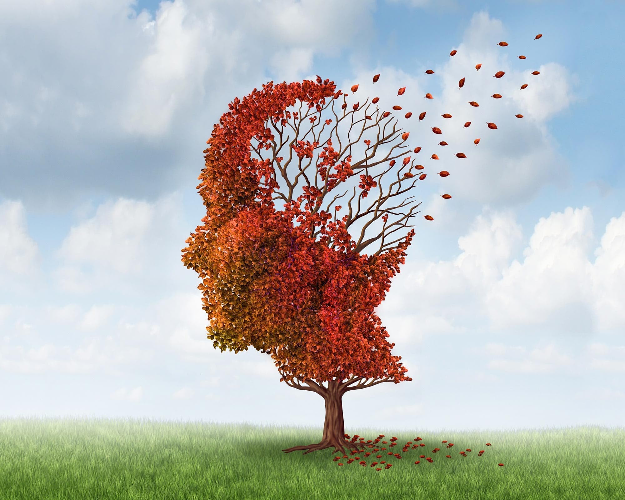 Fact Check: Cognitive decline is often observed in older adults.